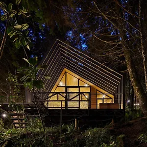  Camping Oculto Refugio De Bosque